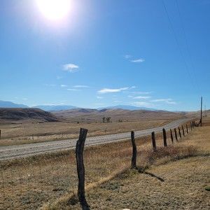 Meet your Posher, Carlina